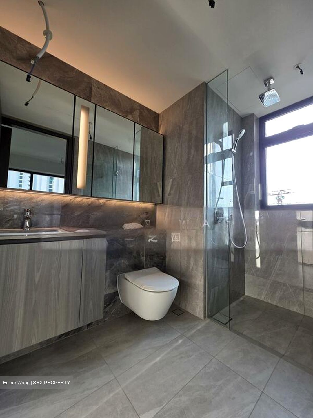 Piccadilly Grand (D8), Apartment #502100801